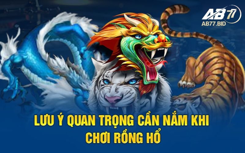 Bí quyết chơi Rồng Hổ chuẩn xác từ cao thủ